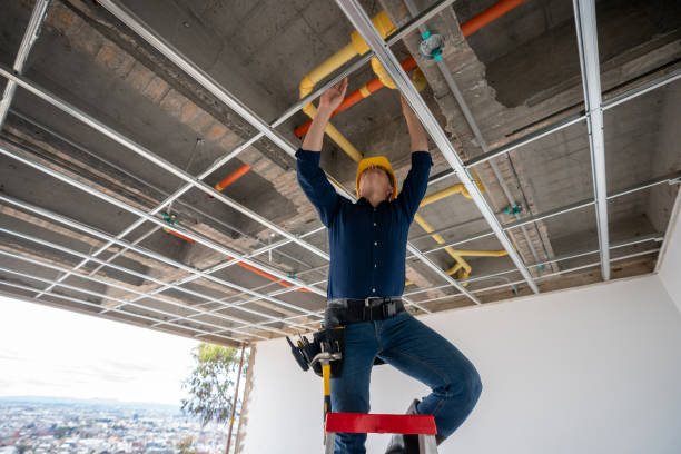 Best Residential Plumbing Services  in Princevle, IL