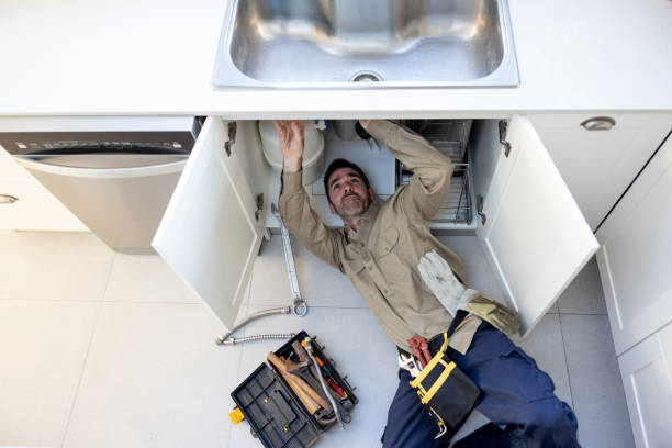 Best Local Plumber Services  in Princevle, IL