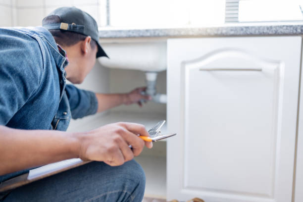 Best Same-Day Plumbing Service  in Princevle, IL
